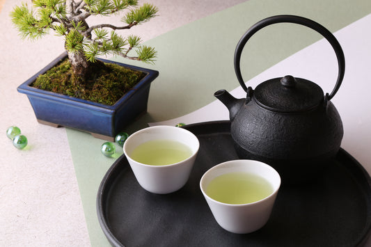 やぶ北 × 抹茶 特製煎茶ECOボックス - GINZA TOKYO