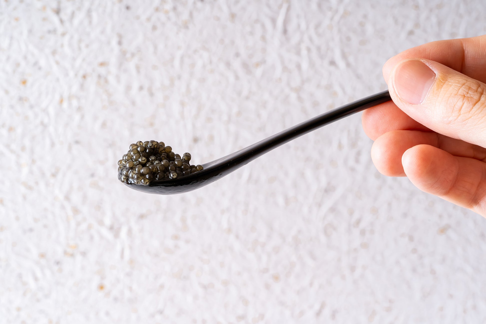 ジャパンキャビア  <br>珠樂 -SUGAKU- <br>特製キャビアスプーン <br>（輪島塗） - GINZA TOKYO